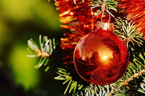 Compra bolas para el árbol de Navidad sin darse cuenta de que escondían tangas